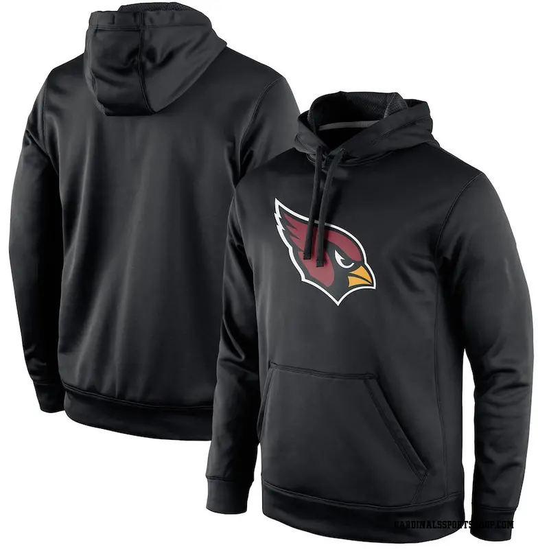 Men's Arizona Cardinals Nike Circuit Logo Essential Performance ...